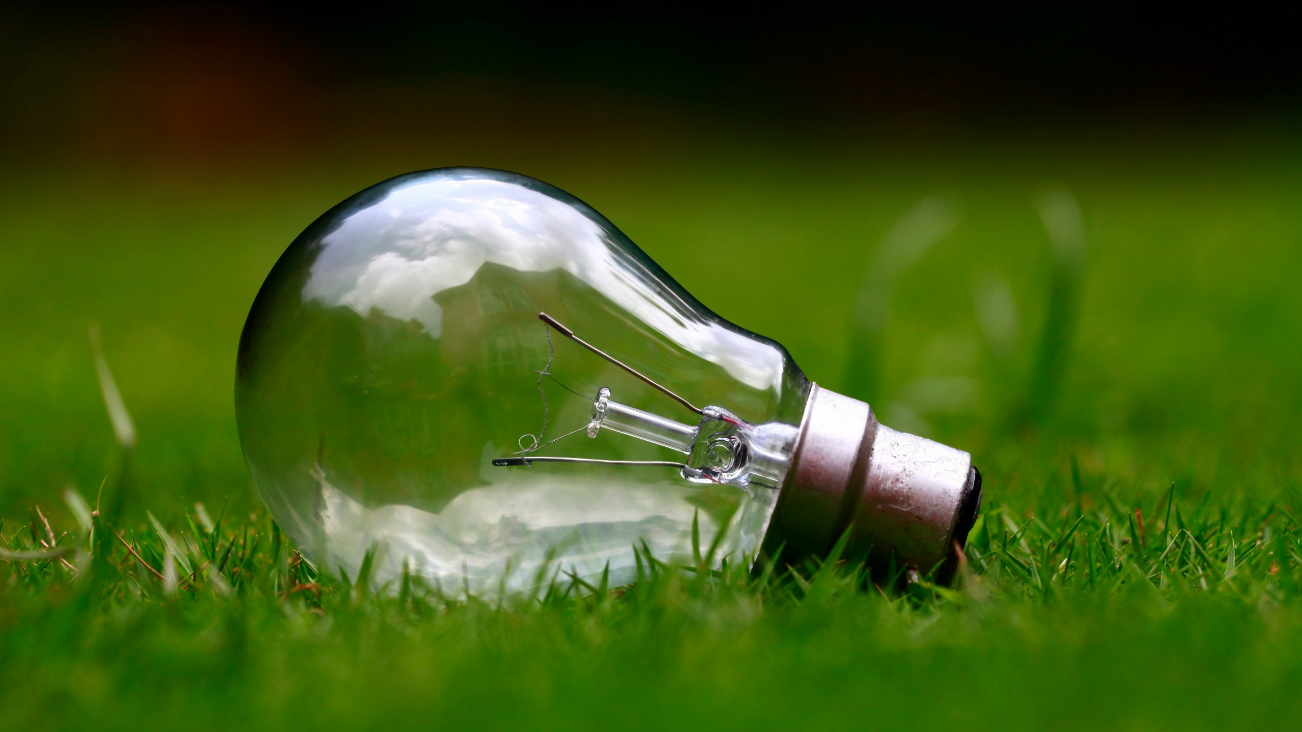 Light bulb on green patch symbolising eco-friendly technology and sustainable innovation.