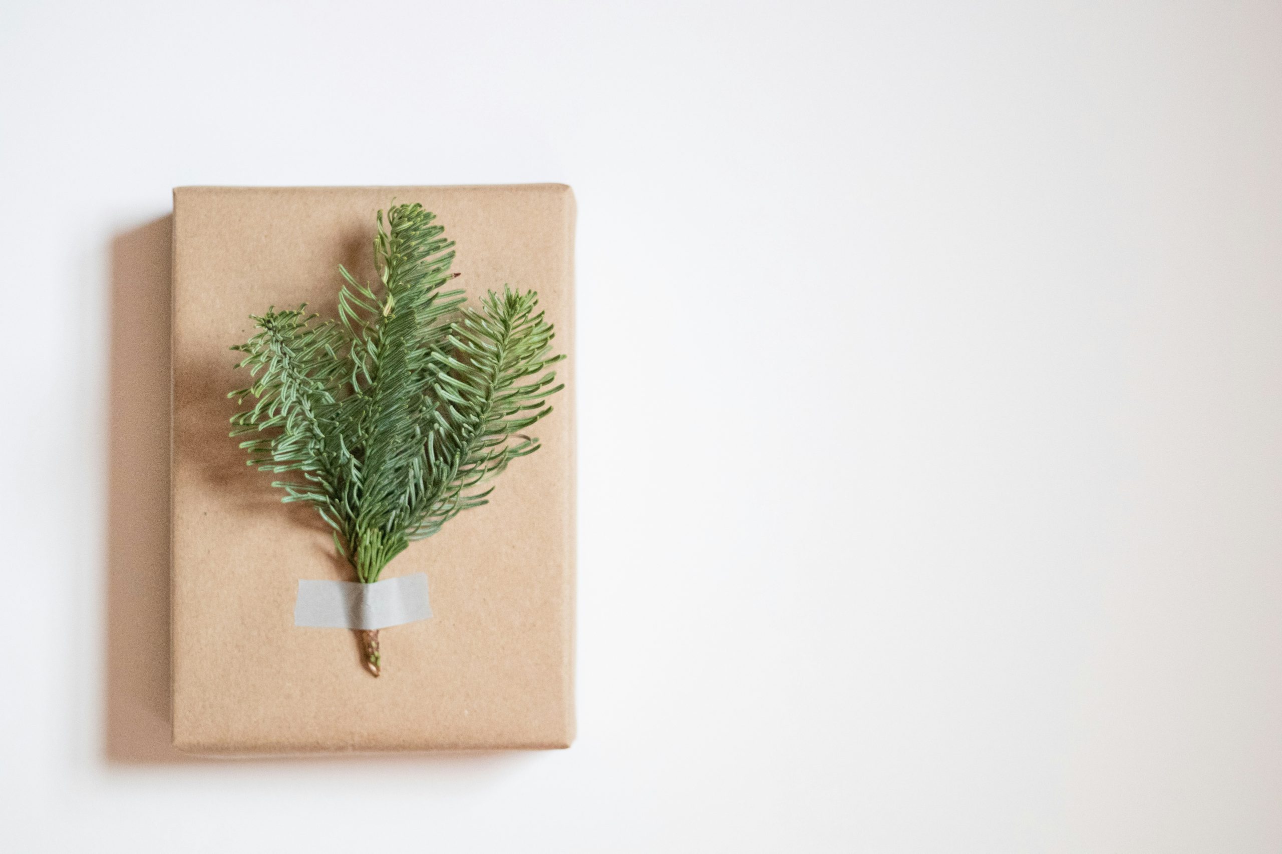 A gift wrapped in kraft paper.
